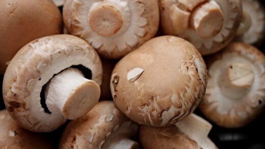 Shiitake Mushrooms - The Best Bake