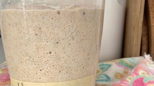 The Homer Project. (My Sourdough Starter)