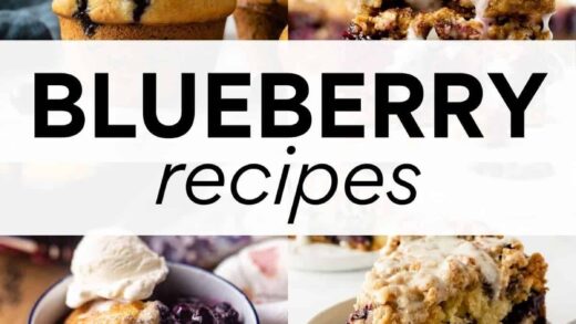 collage of blueberry recipes with overlay text "blueberry recipes".